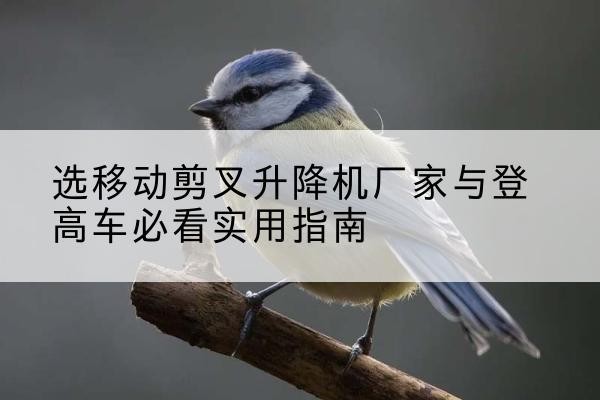 横州电动升降机厂家-选移动剪叉升降机厂家与登高车必看实用指南