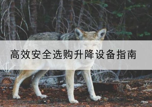 横州升降货梯厂家推荐-*安全选购升降设备指南